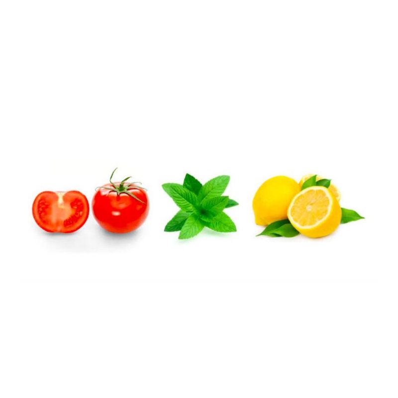 Tomato, basil, lemon in a line