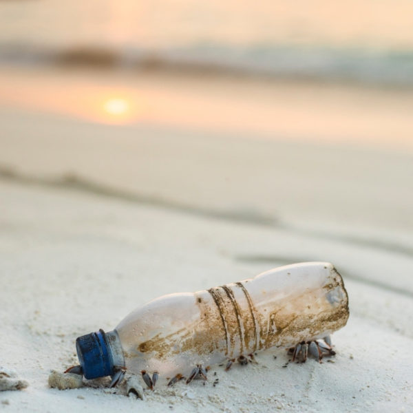 Plastic bottle in the sand